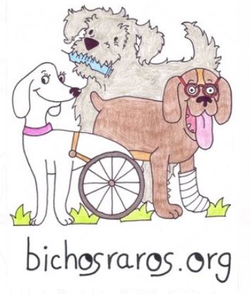 Bichosraros.org