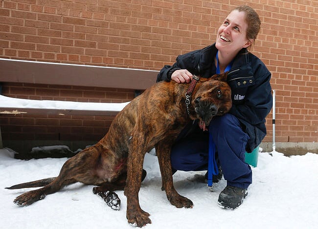 Toronto Animal Services - The Scheinberg Relief Fund
