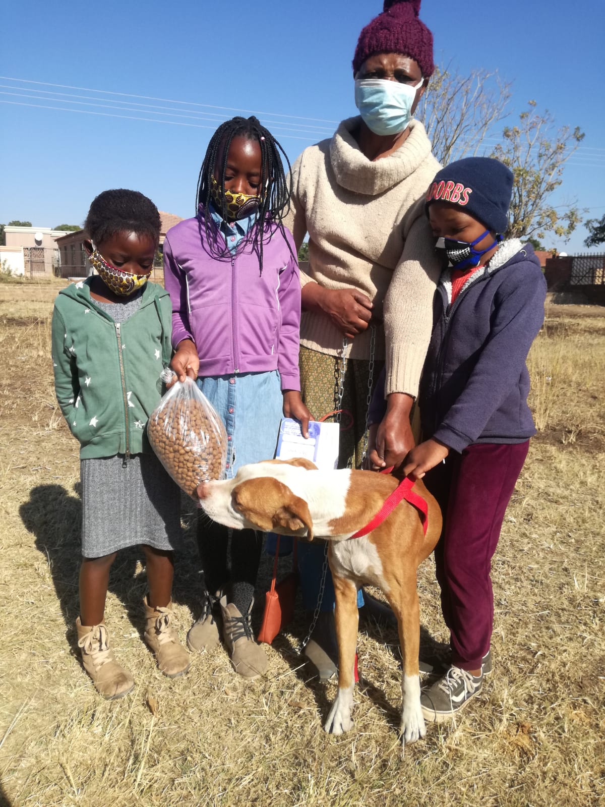 South African Veterinary Association Community Veterinary Clinics